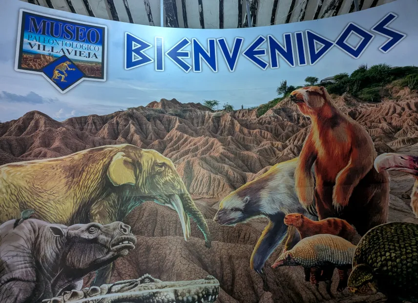 Picture of Paleontological Museum