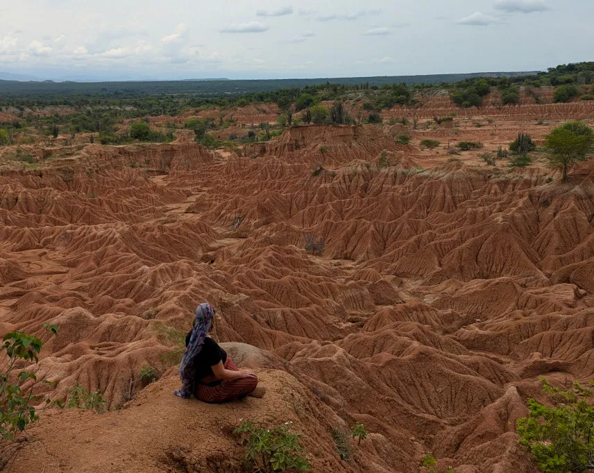Picture of Red Desert